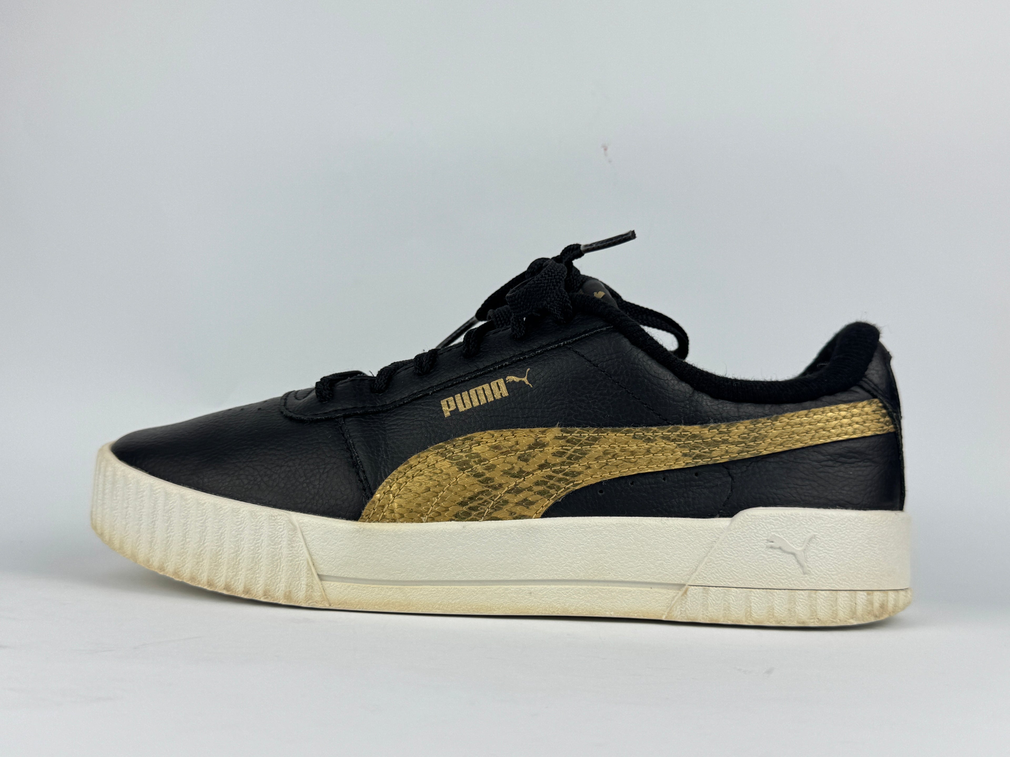 PUMA CARNIA (in souls changed)