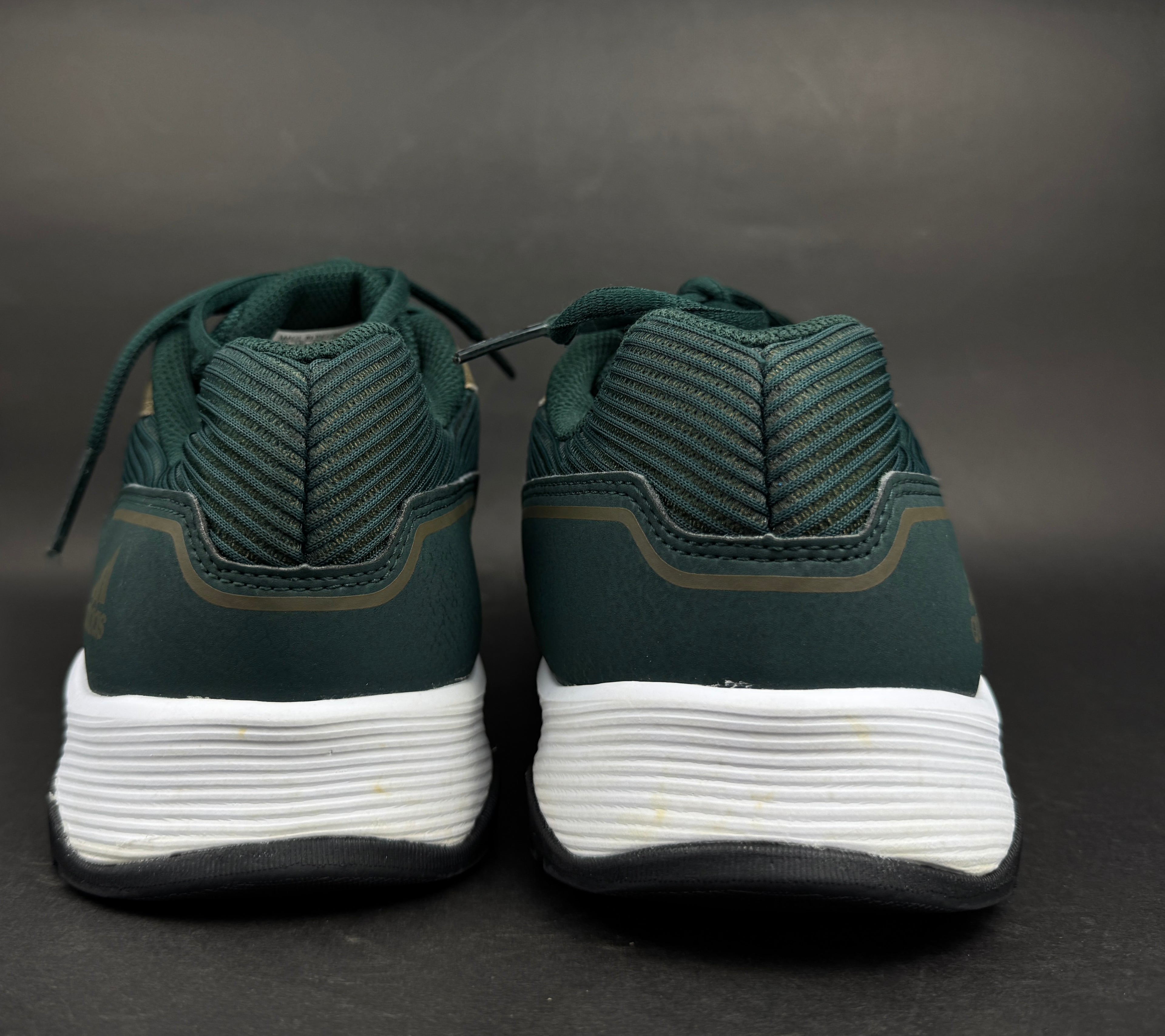Adidas Gym Warrior 2 training