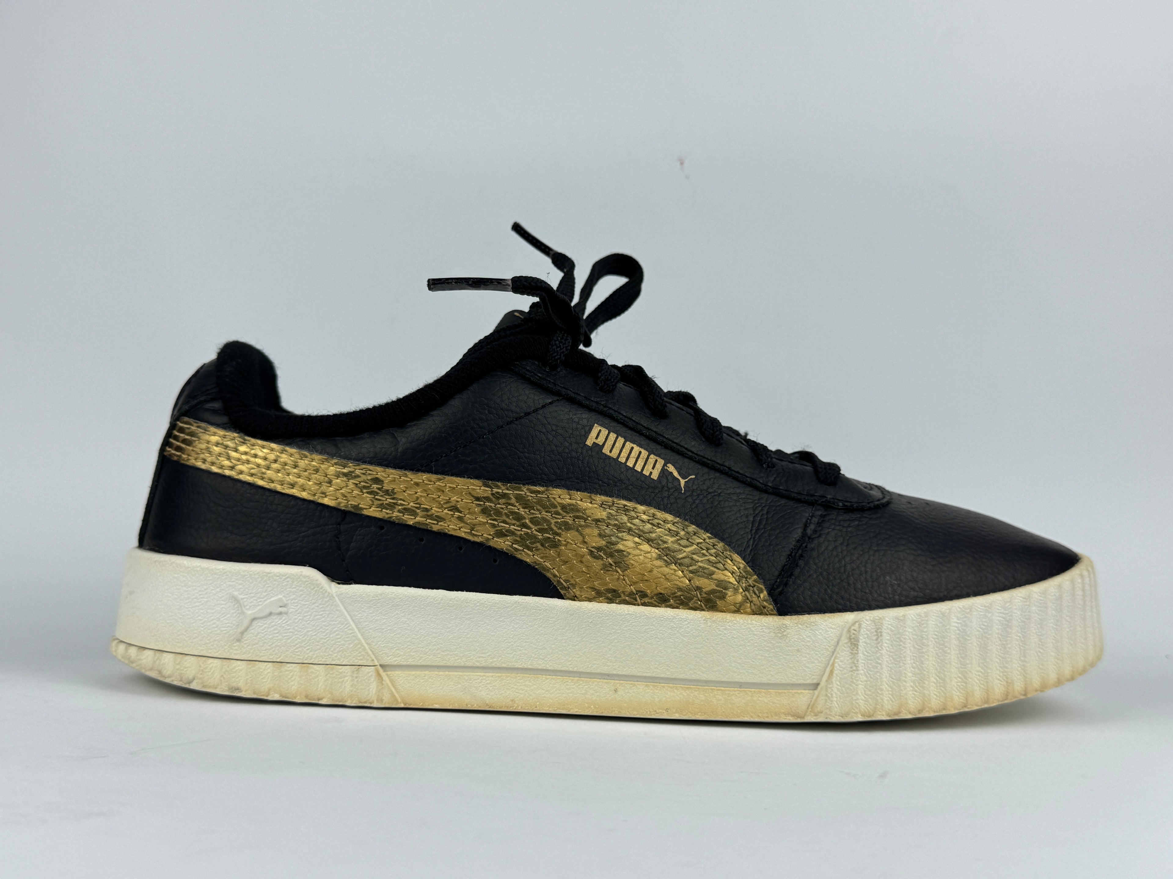 PUMA CARNIA (in souls changed)