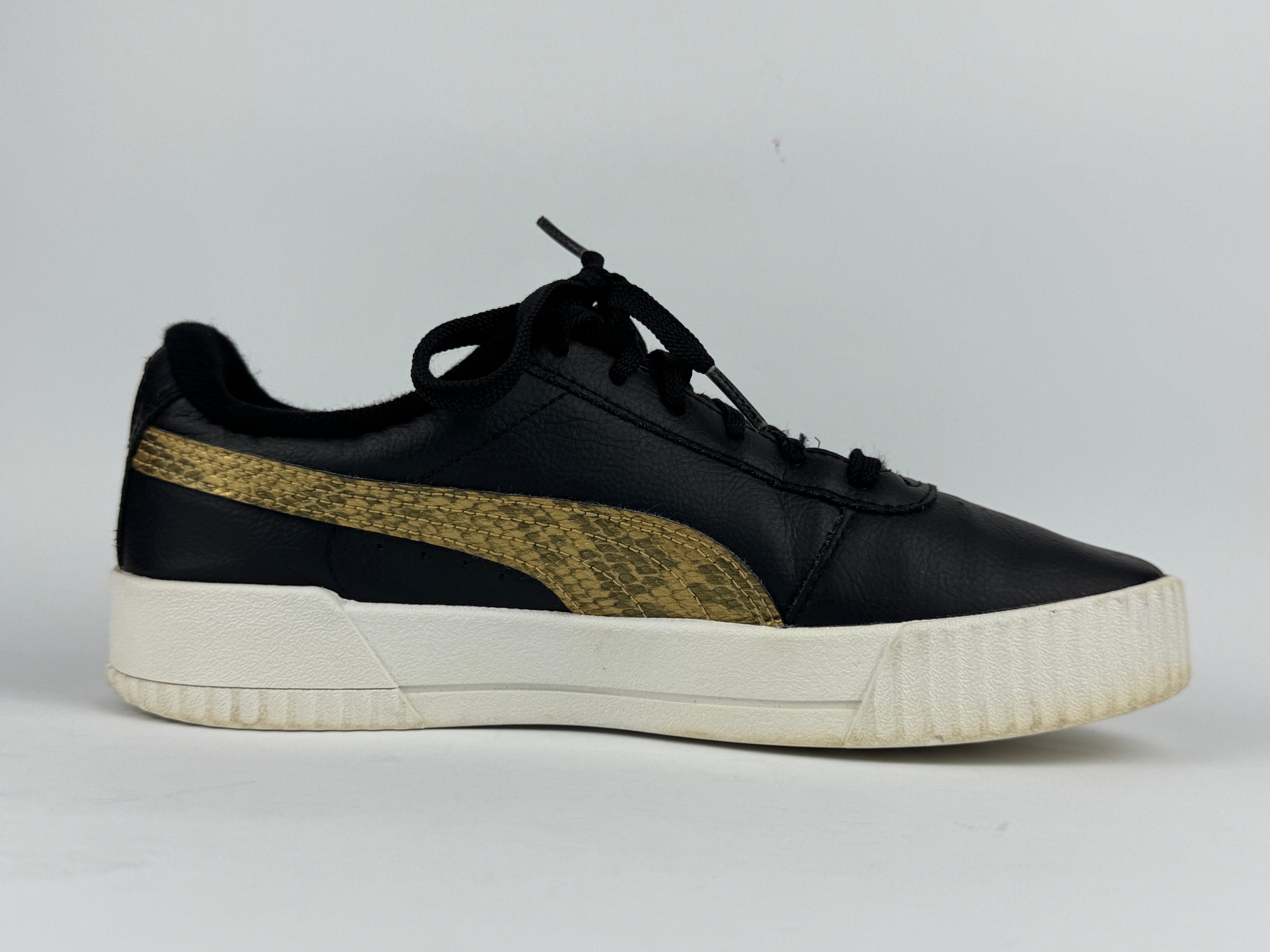 PUMA CARNIA (in souls changed)
