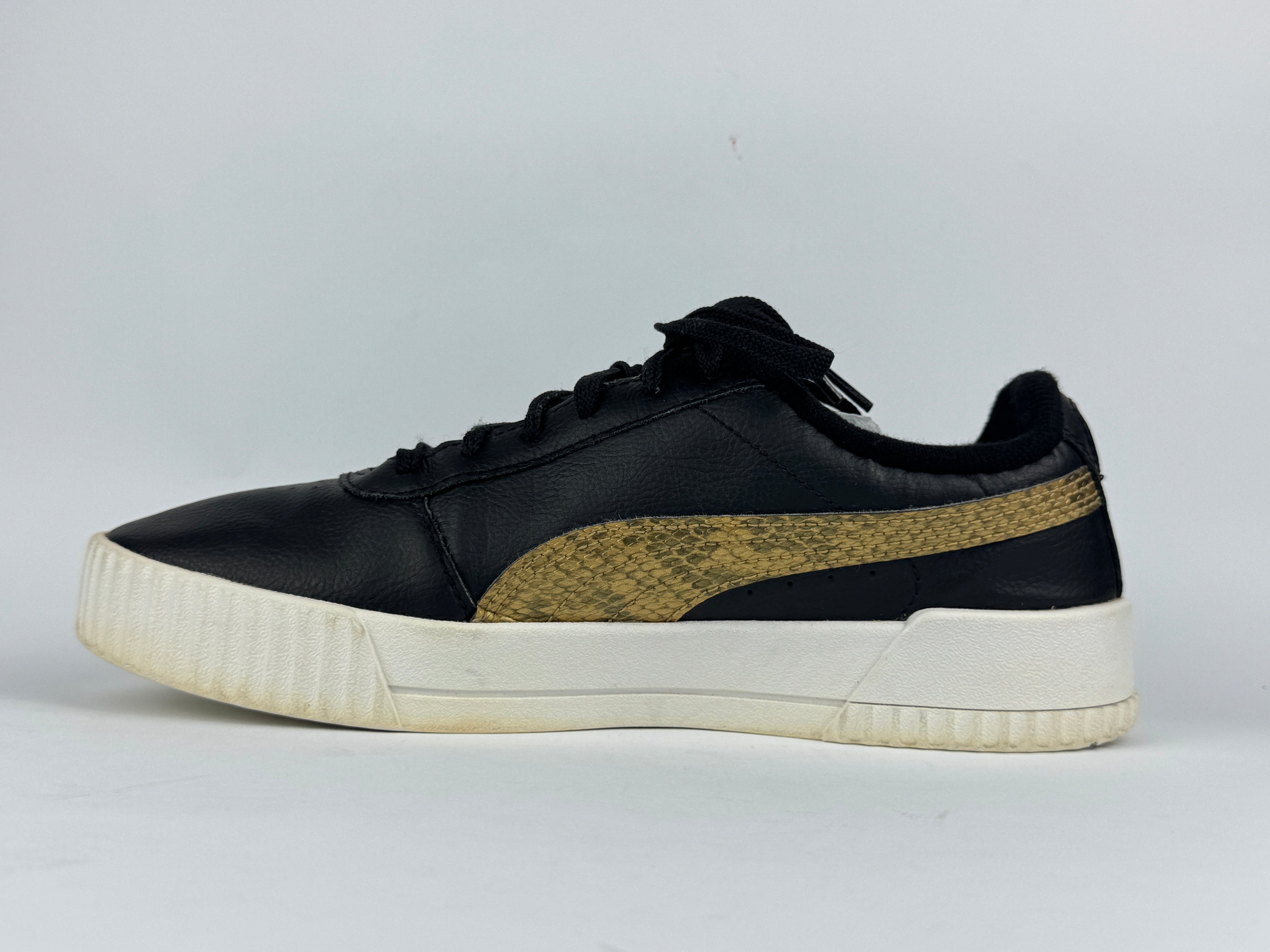 PUMA CARNIA (in souls changed)