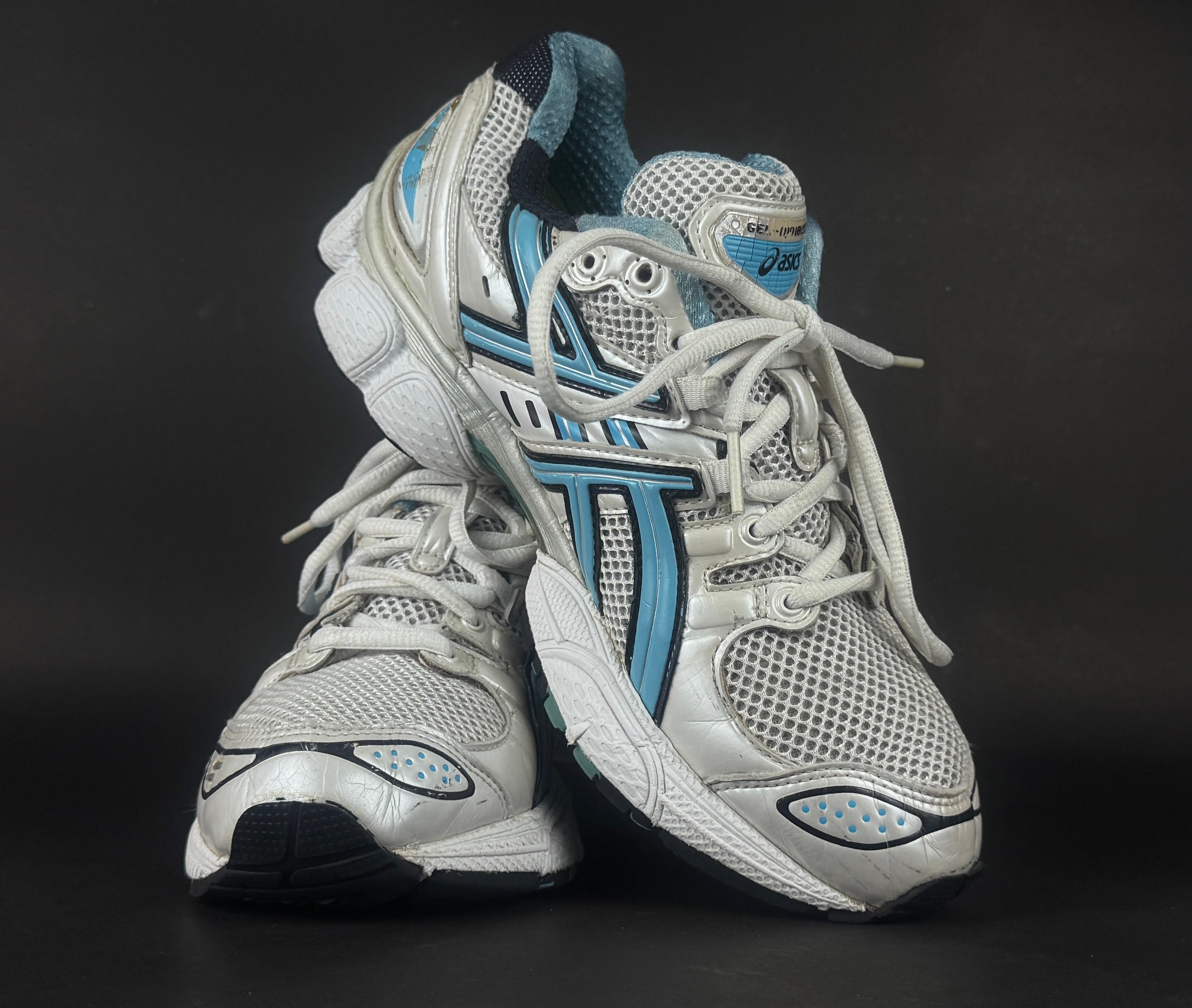Asics Gel-Fortitude 5