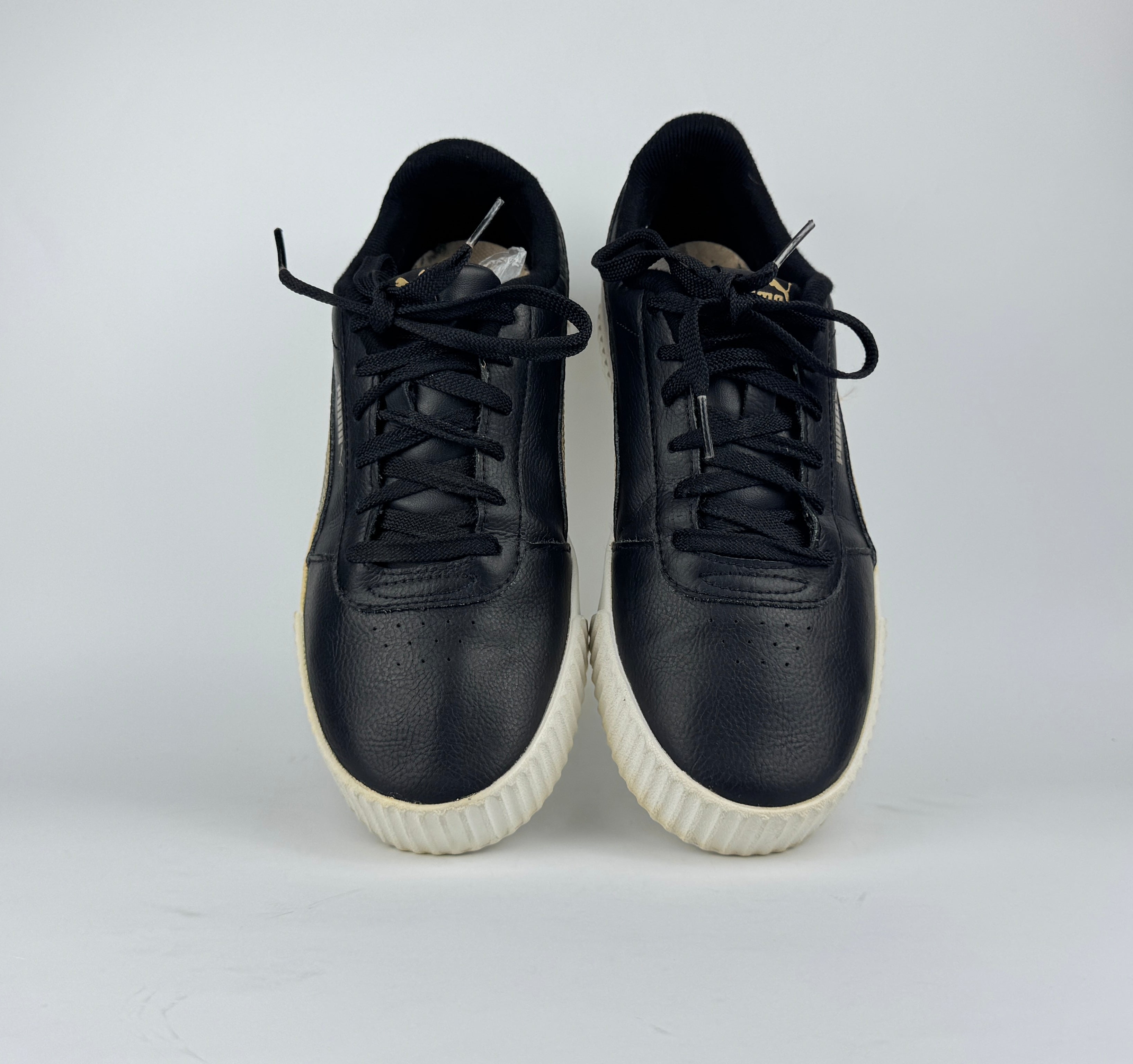 PUMA CARNIA (in souls changed)