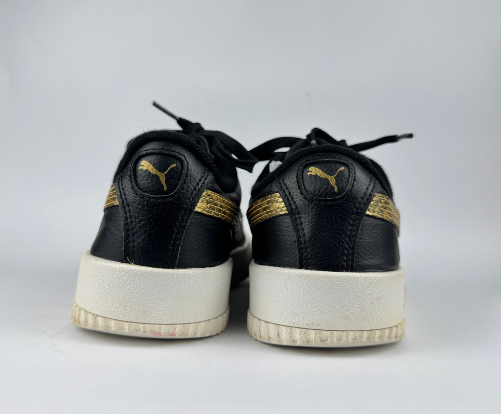 PUMA CARNIA (in souls changed)