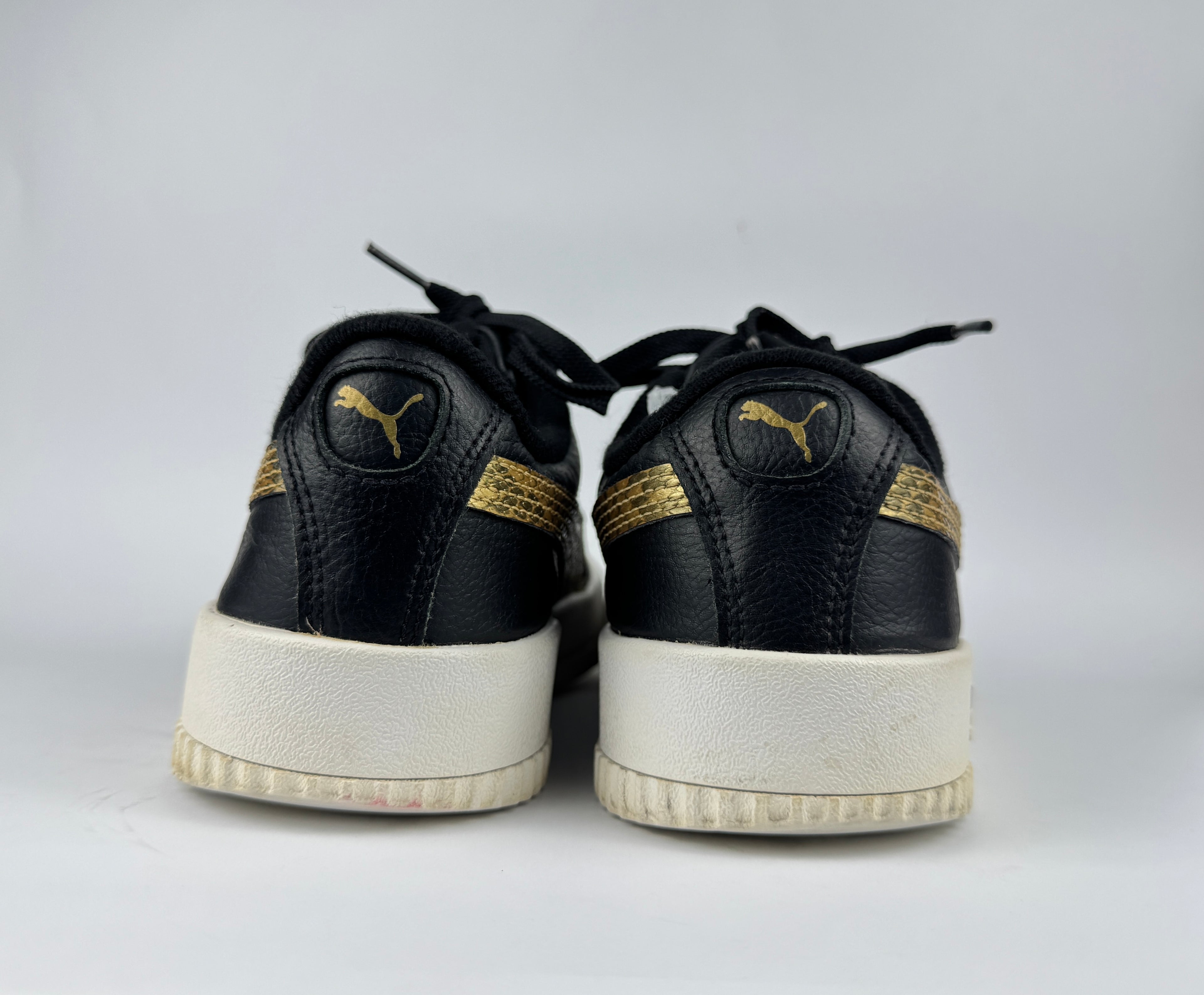 PUMA CARNIA (in souls changed)